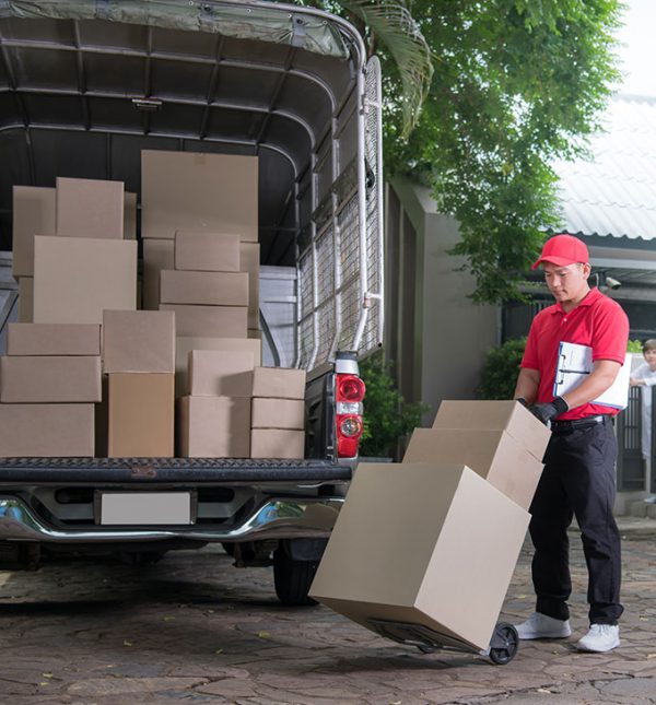 Standard Wrapo Courier