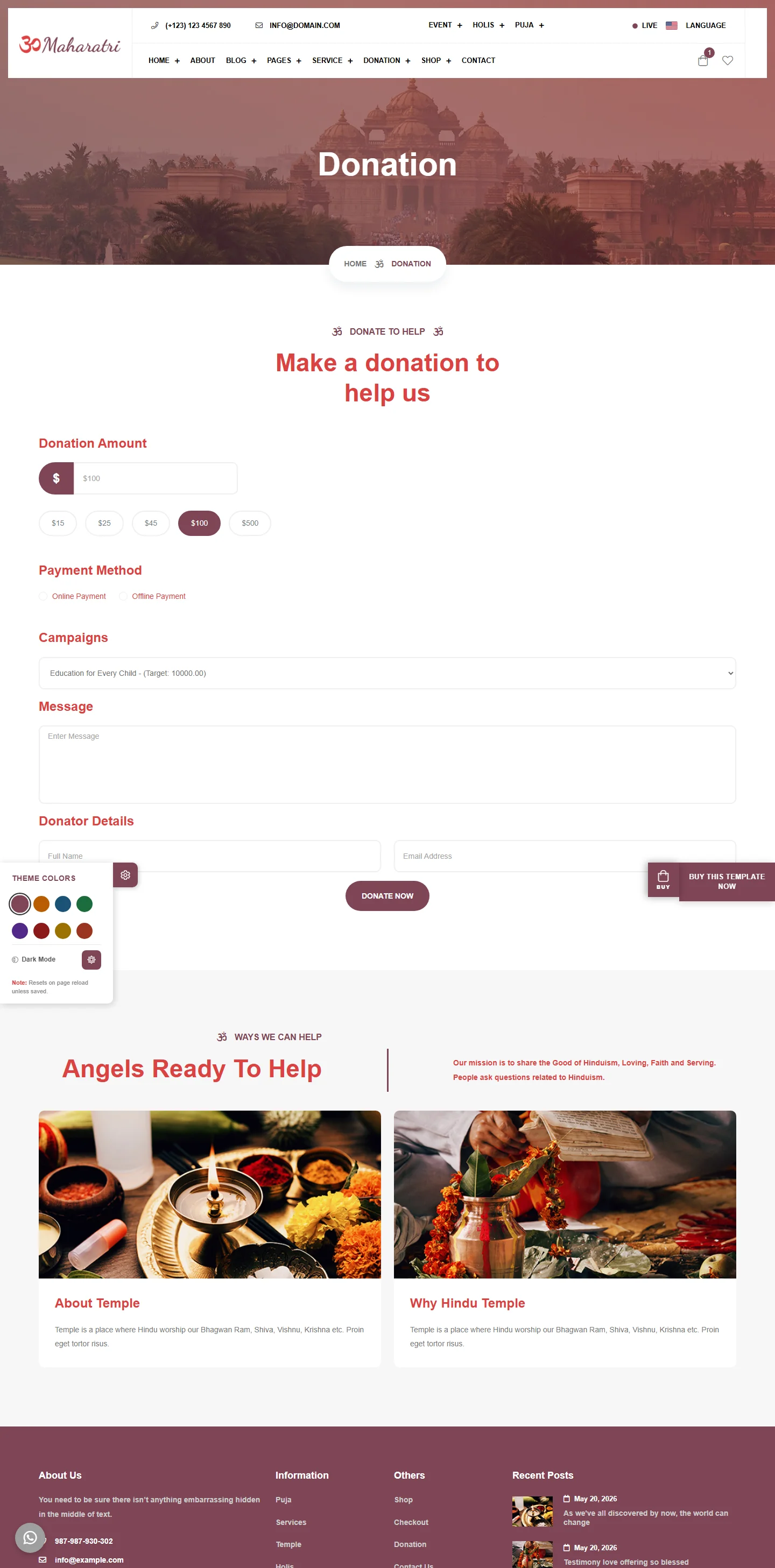 Online donation system pages preview