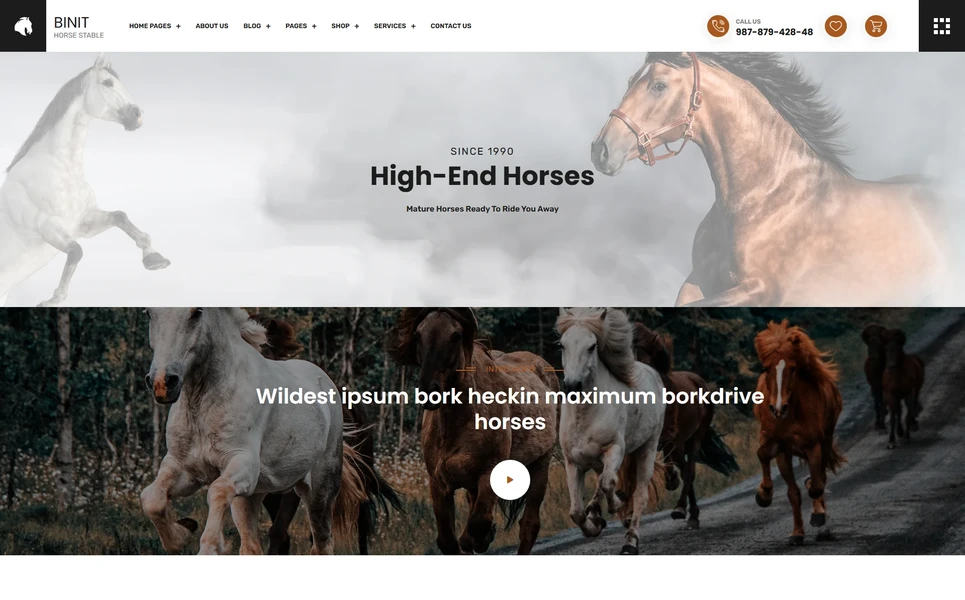 Binit — Business PHP Website Template