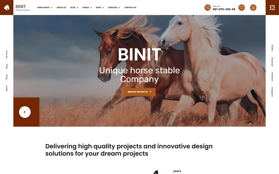 Binit — Business WordPress Theme