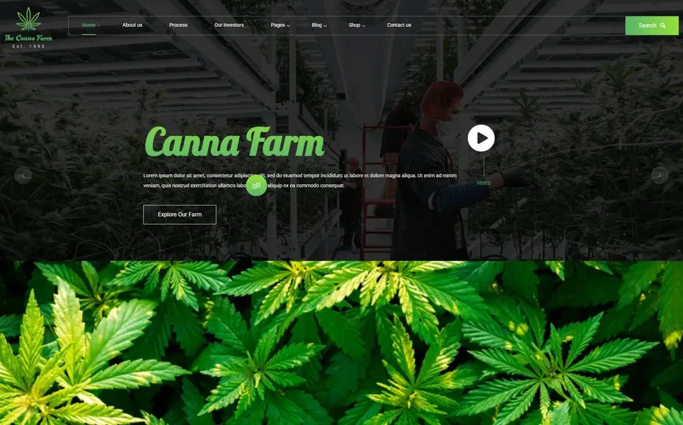 Cannafarm — Cannabis Farm WordPress Theme