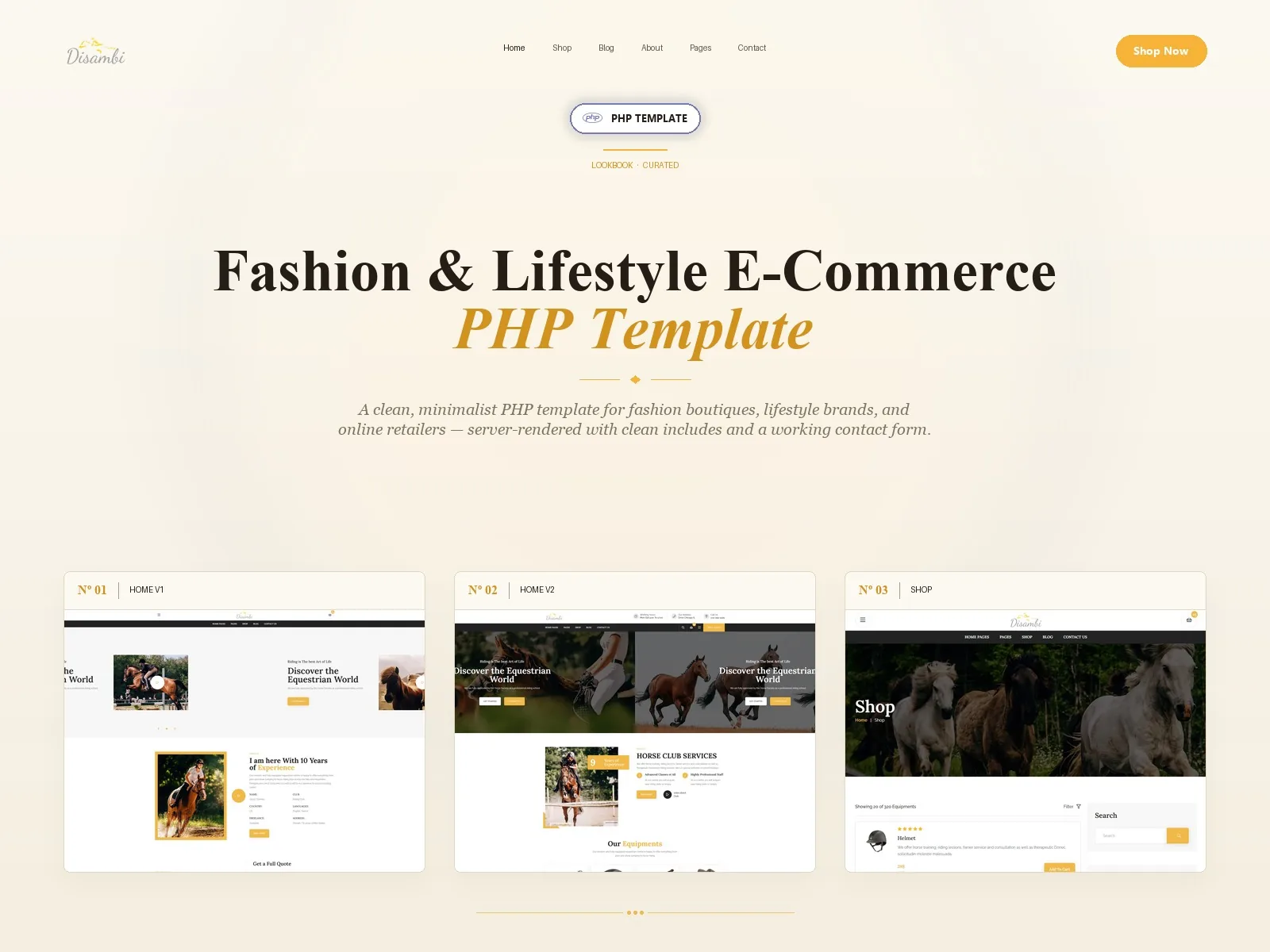 Disambi — Business PHP Website Template