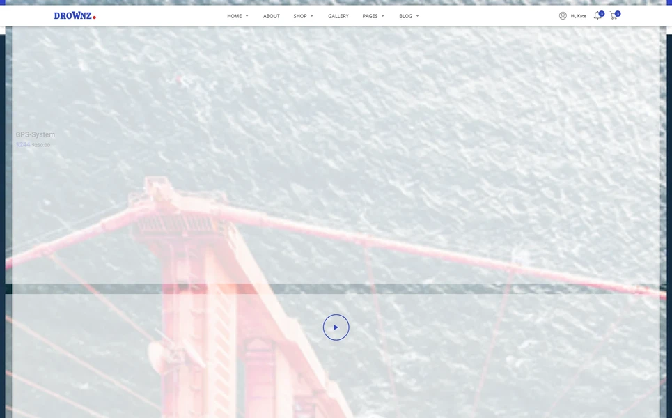 Drownz — Vue.js Template