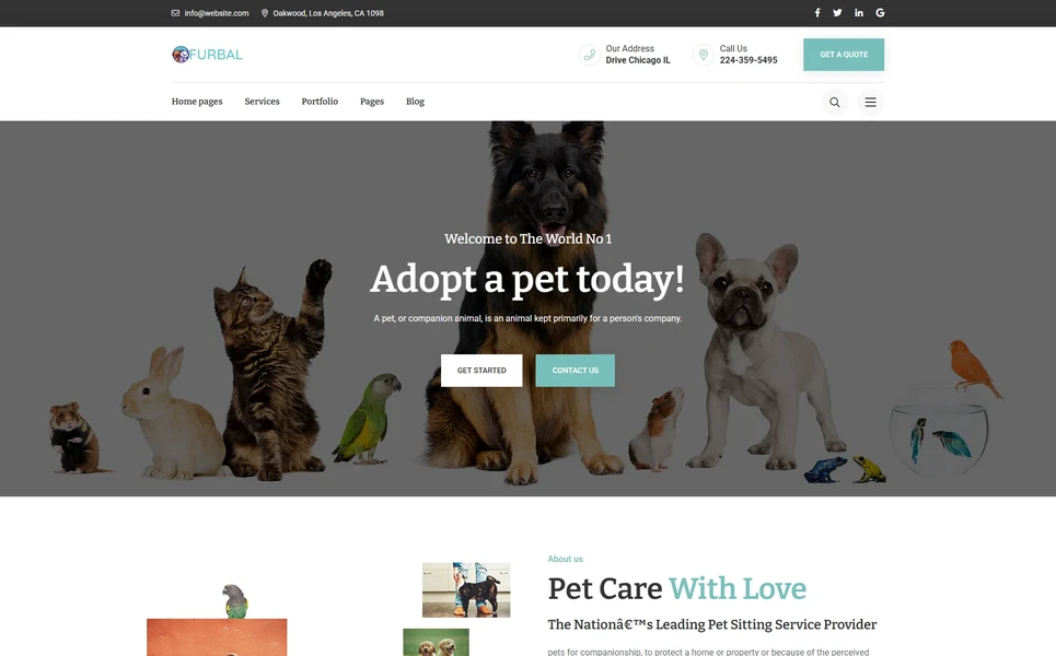Furbal — Pet Vue.js Template
