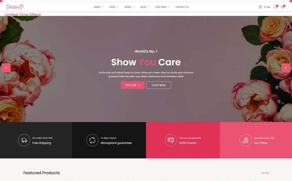 Gulshop — eCommerce WordPress Theme
