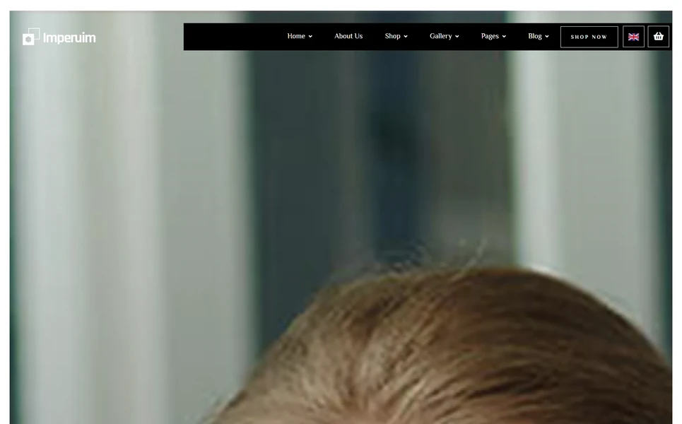 Imperuim — Jewelry PHP Website Template