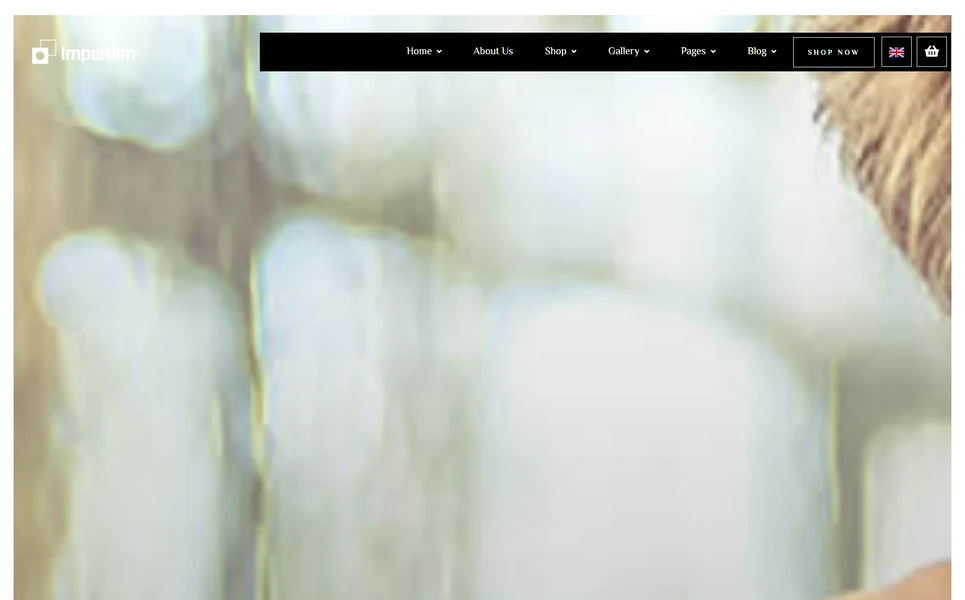 Imperuim — Jewelry React JS Template