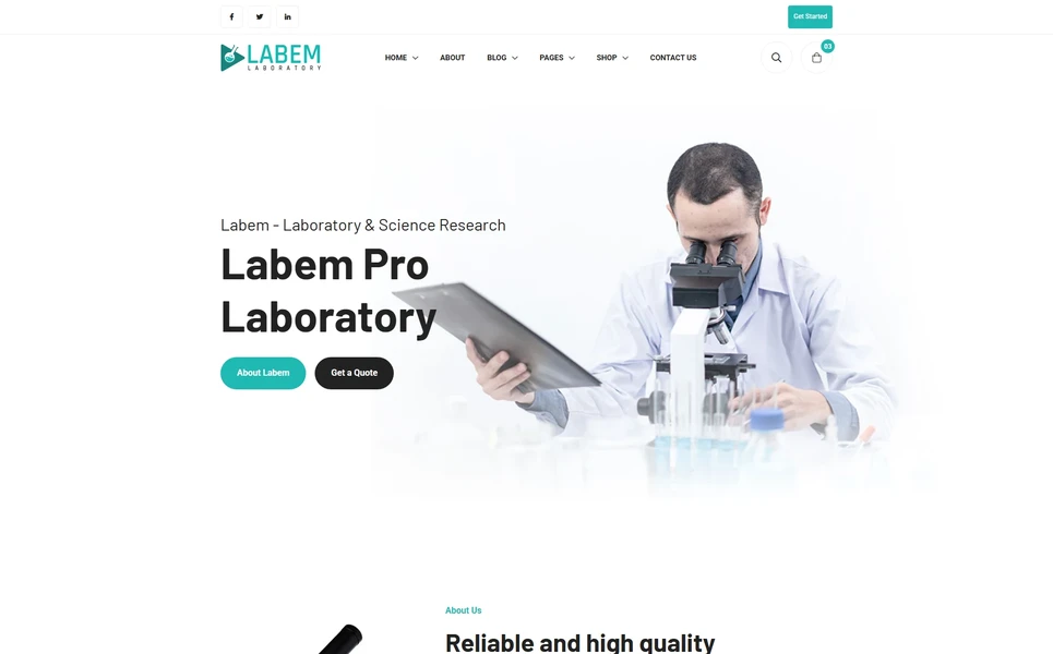 Labem — Consulting Vue.js Template