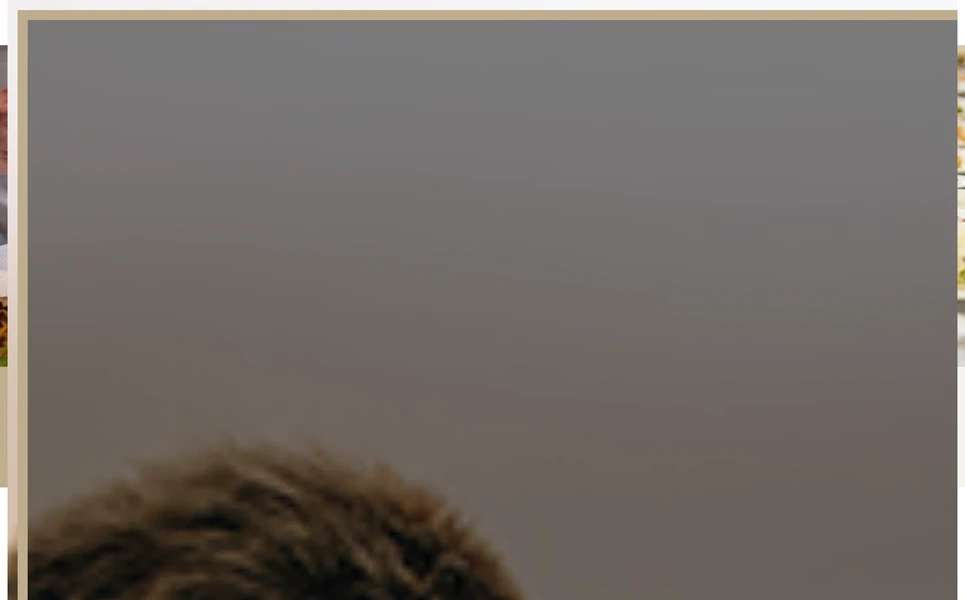 Mickelvine — Vineyard HTML5 Template