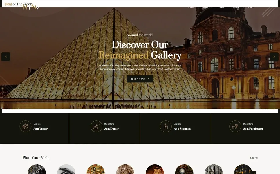 Nina — Gallery WordPress Theme