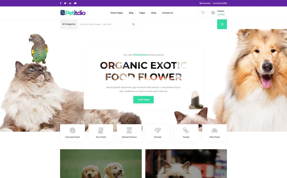 Petitudio — Pet Food Angular Template