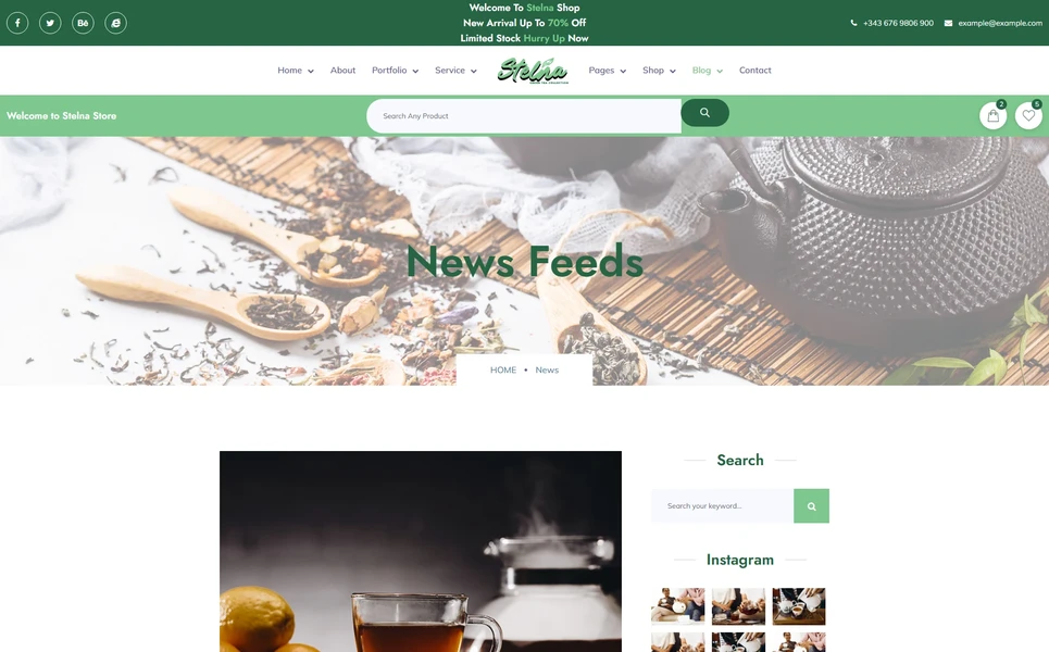 Stelna — Organic Drinks PHP Website Template
