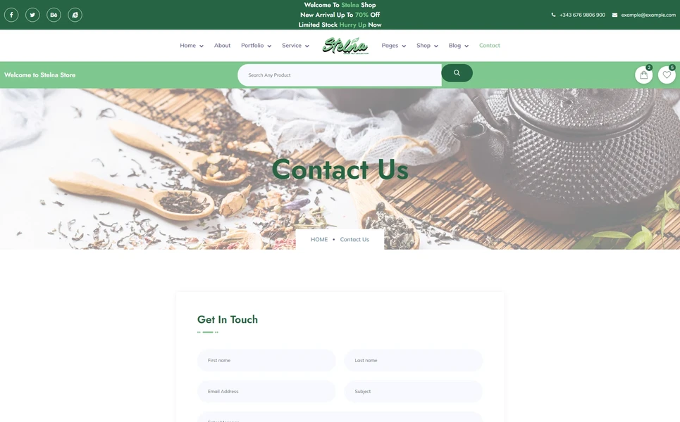 Stelna — Organic Drinks WordPress Theme