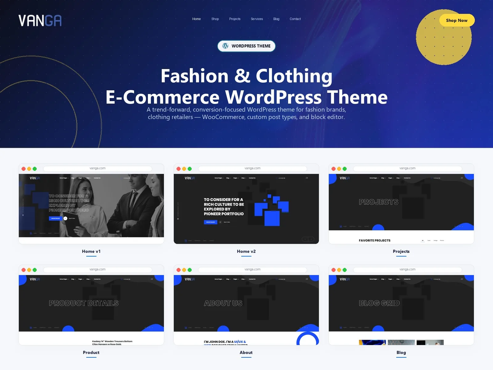 Vanga — Business WordPress Theme