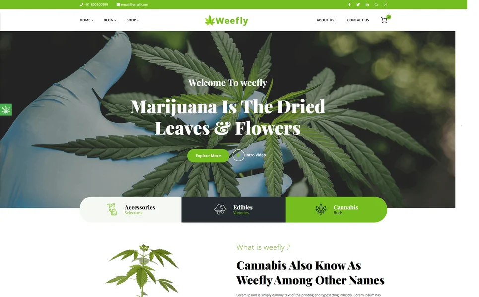 Weefly — Cannabis HTML5 Template