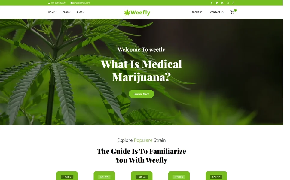 Weefly — Cannabis WordPress Theme