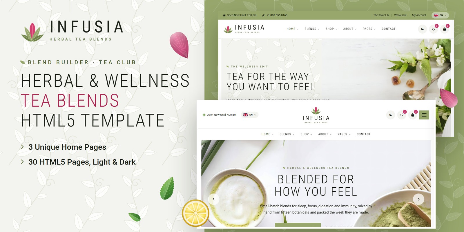 Infusia — Herbal Tea Company Angular Website Template preview