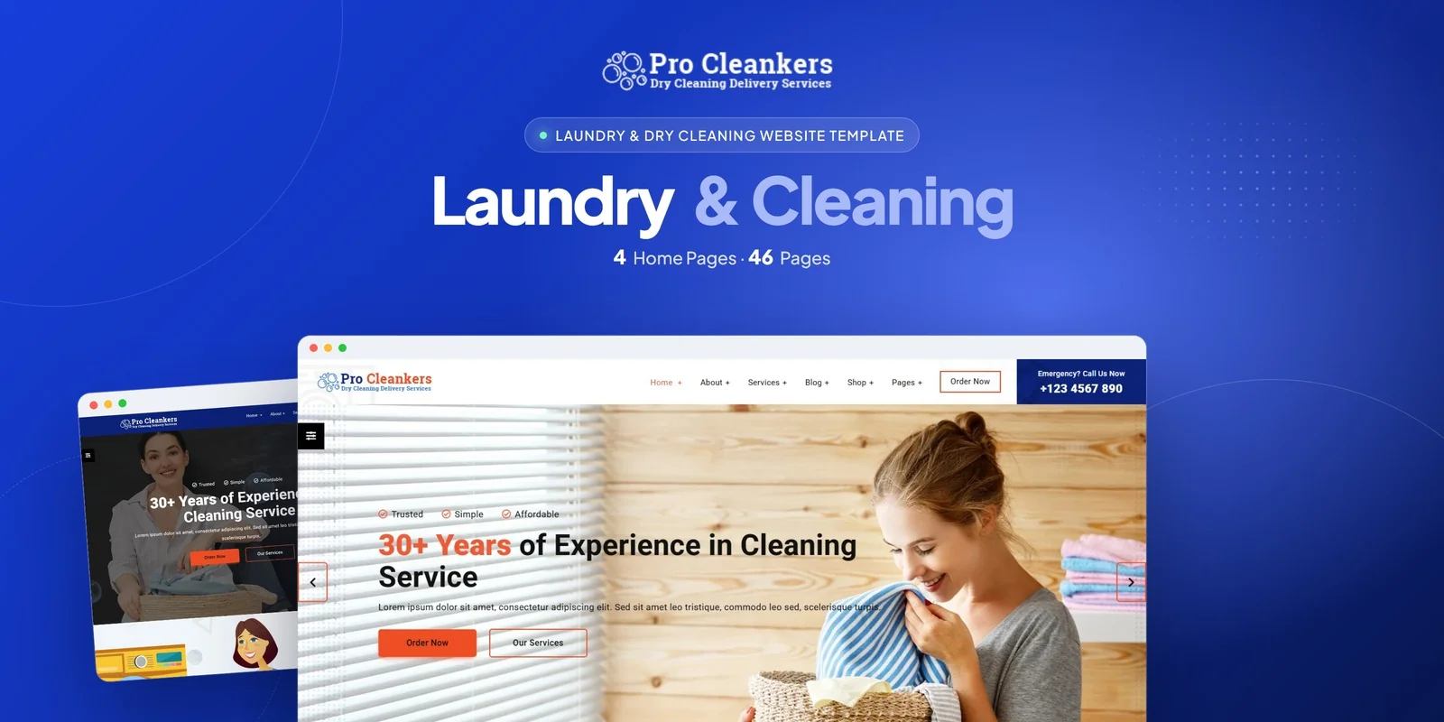 Pro Cleankers — Laundry and Dryclean React Template preview