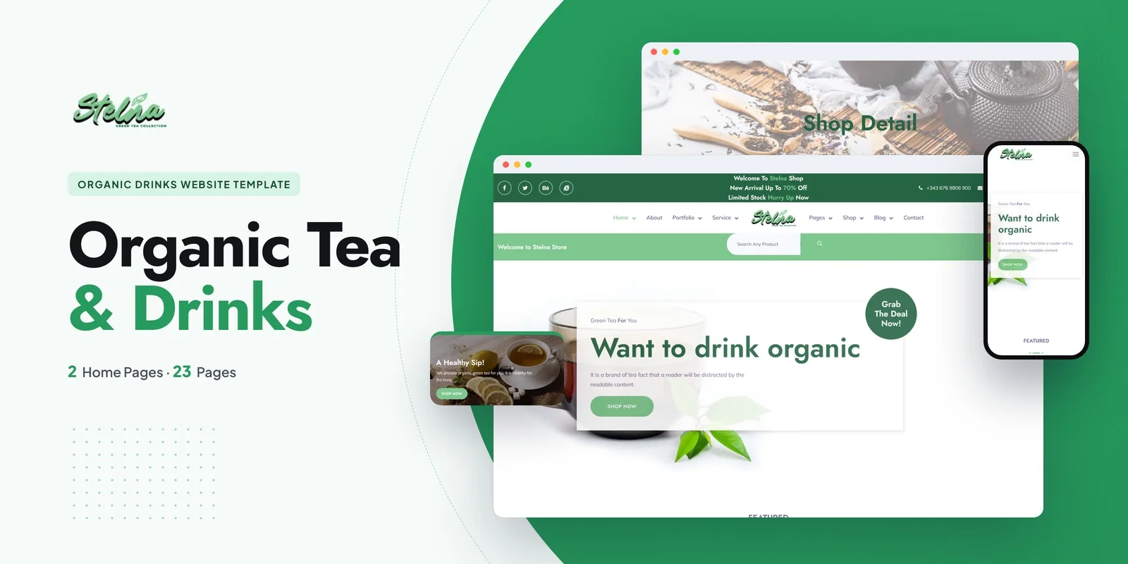 Stelna — Organic Juice WordPress Theme preview